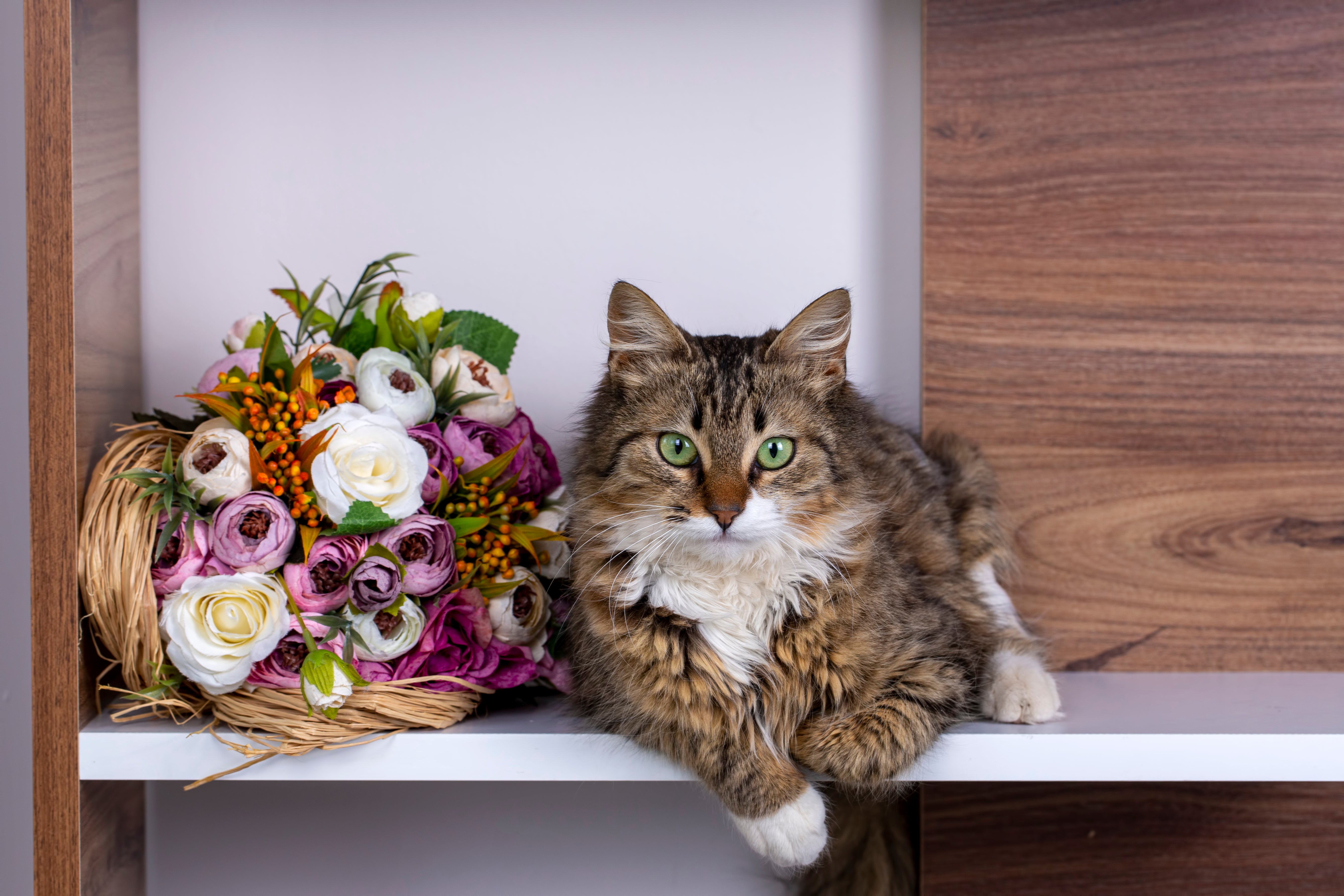 which flowers are safe for pets