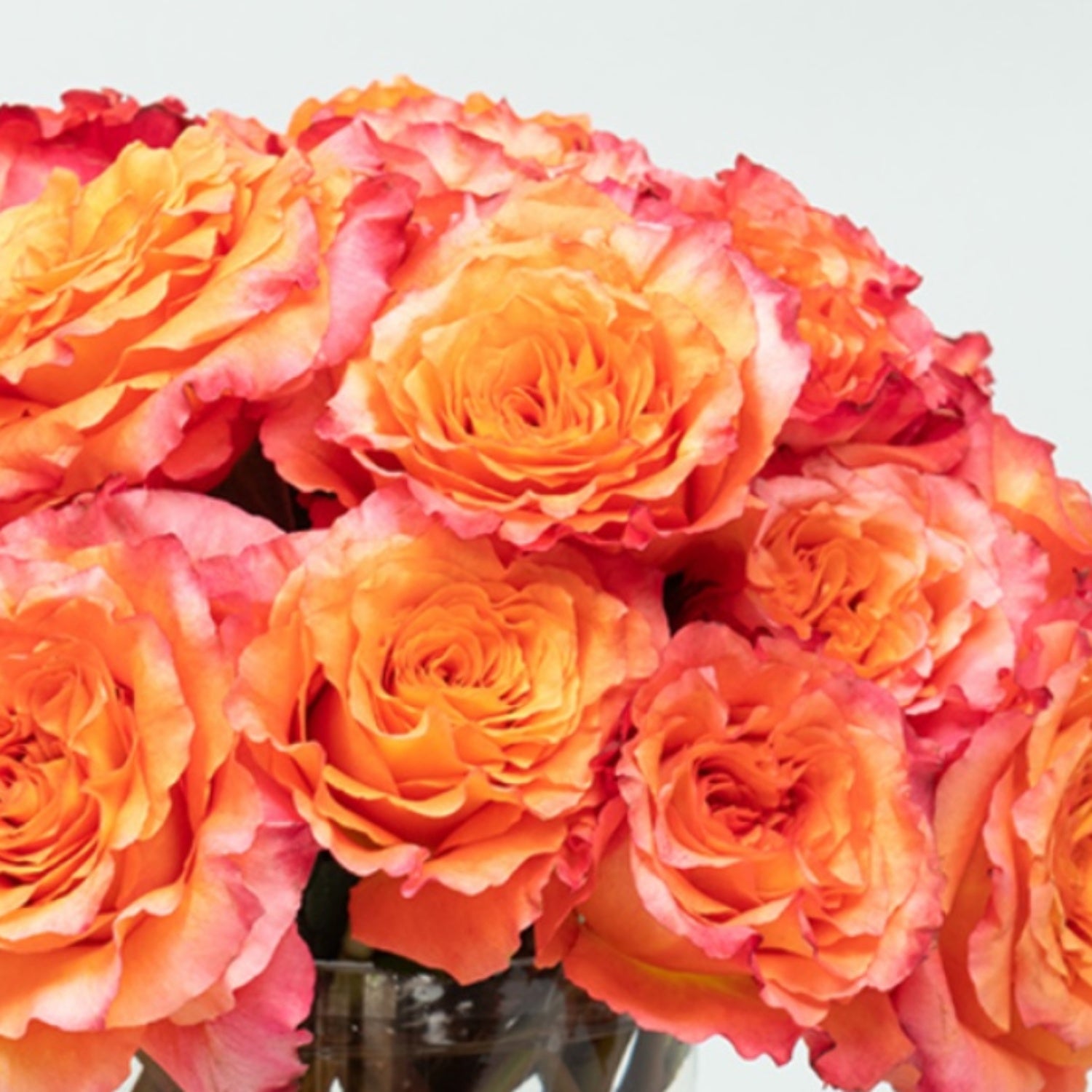 Bliss Blooms Flower Arrangement Closeup