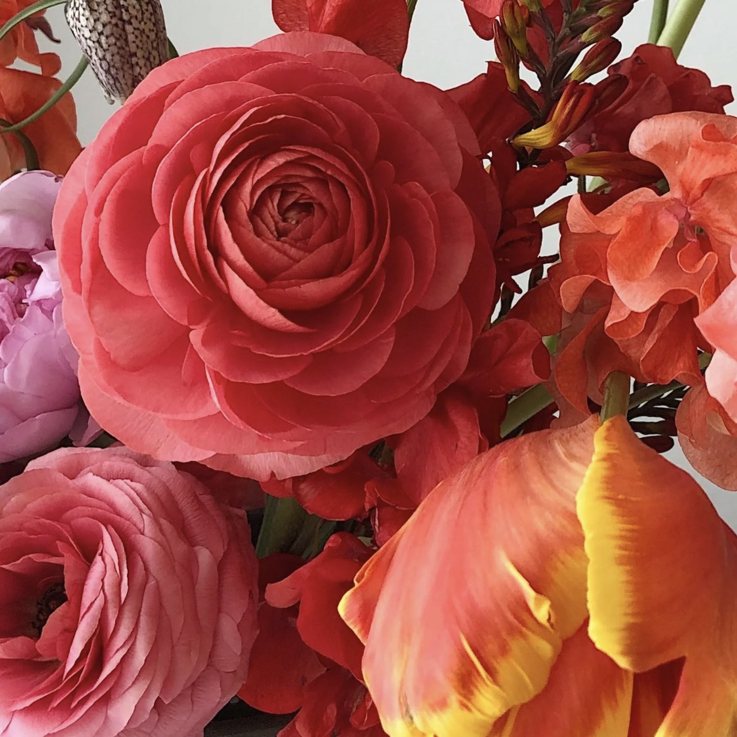 Chic Blooms Flower Arrangement Closeup