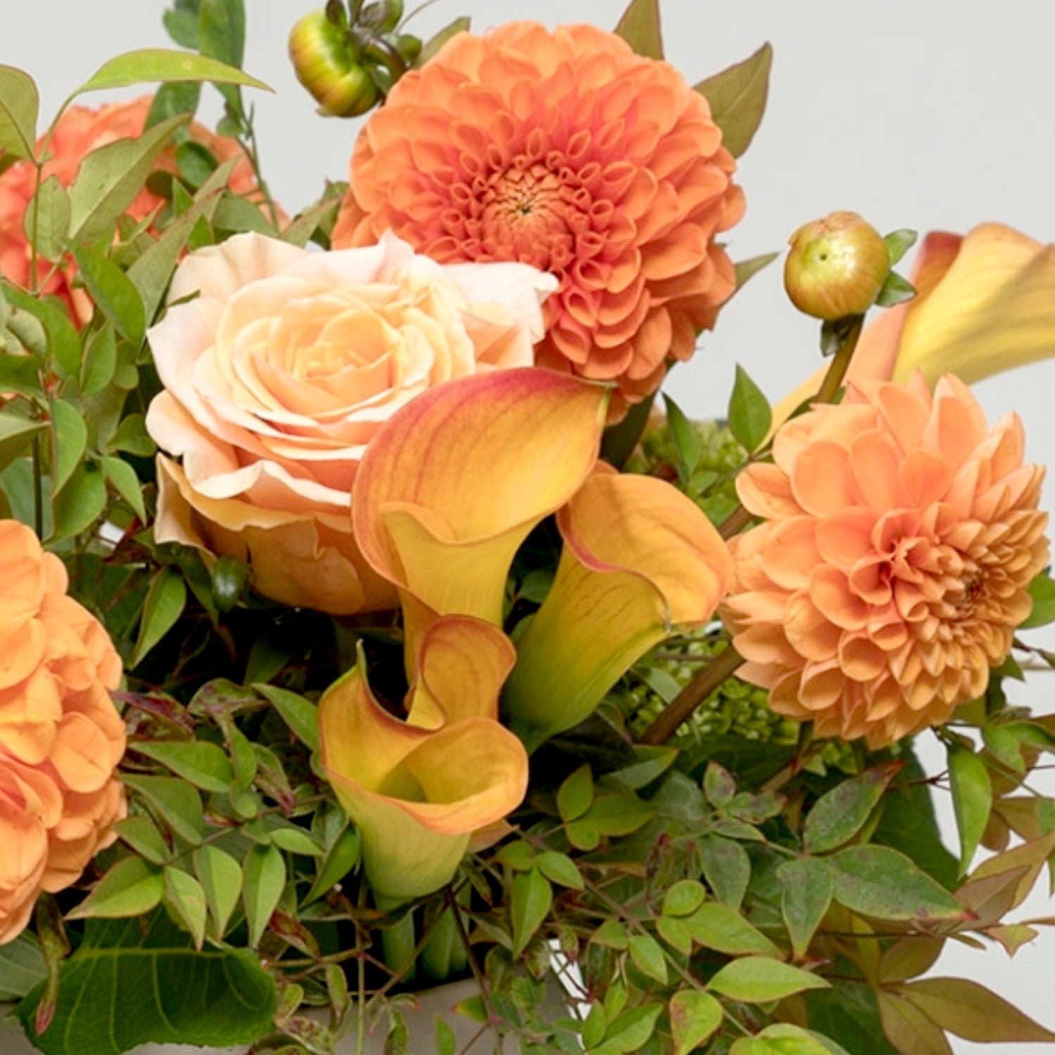 Clementine Flower Arrangement Closeup