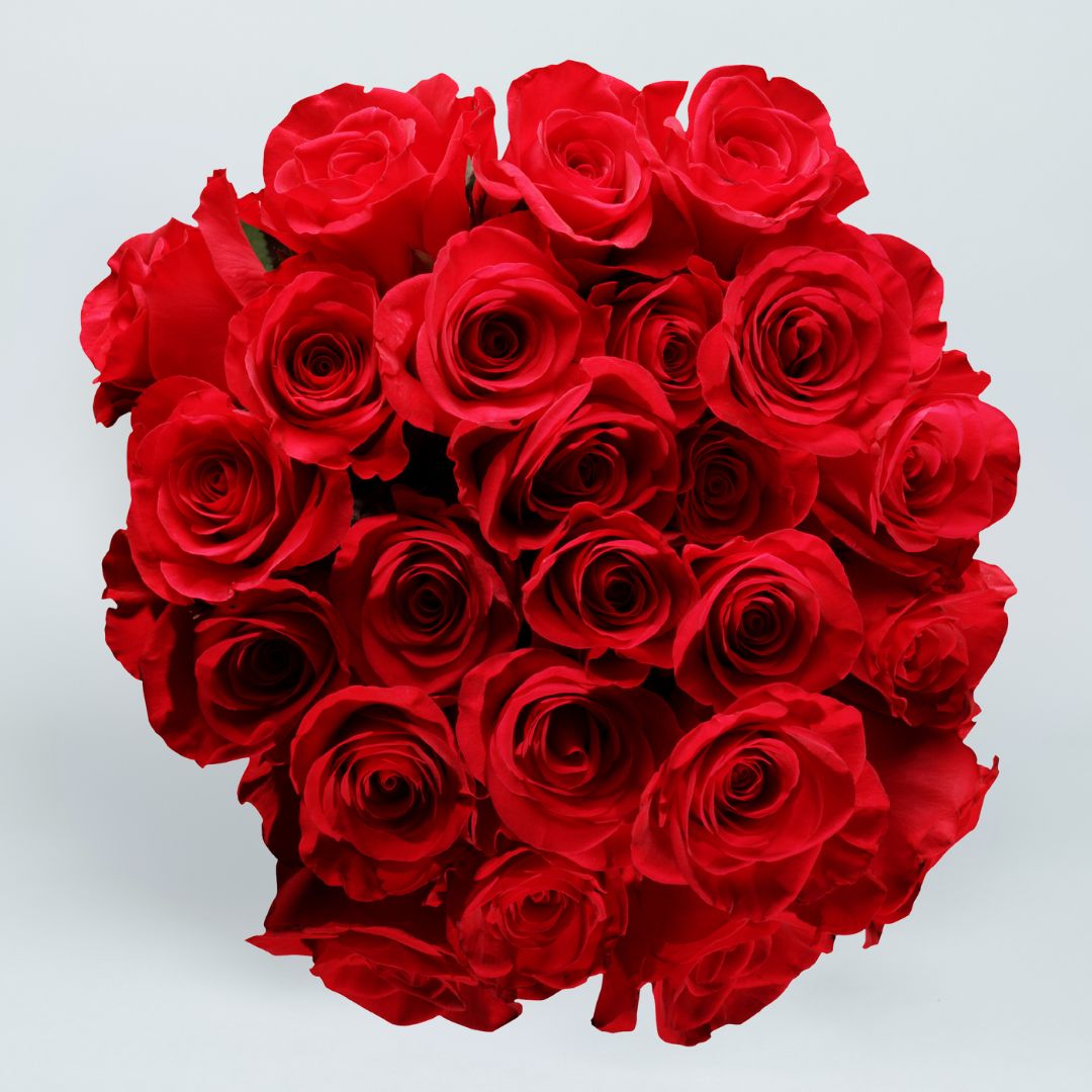 Valentine's Day