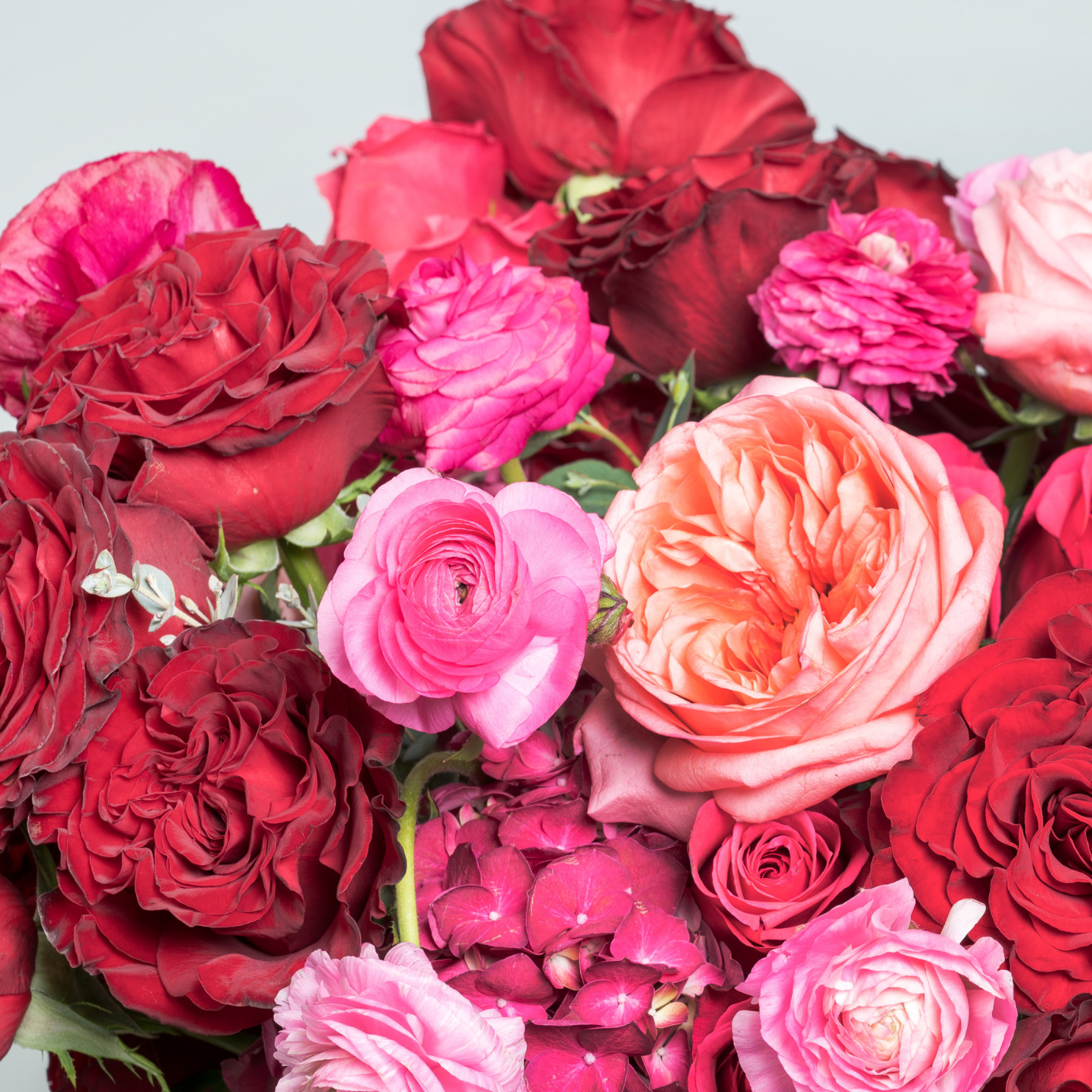 Enchanted Flower Arrangement Closeup