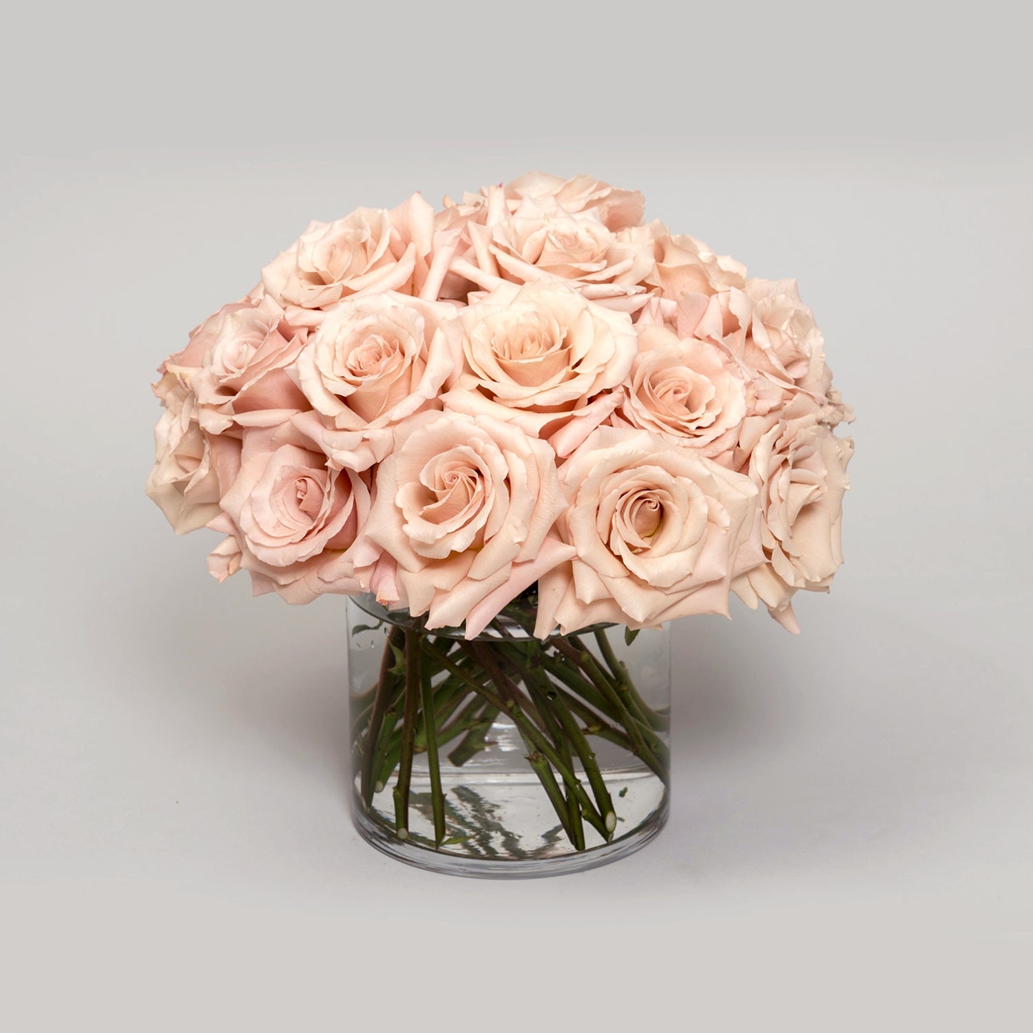 Heavenly Blush Roses Arrangement