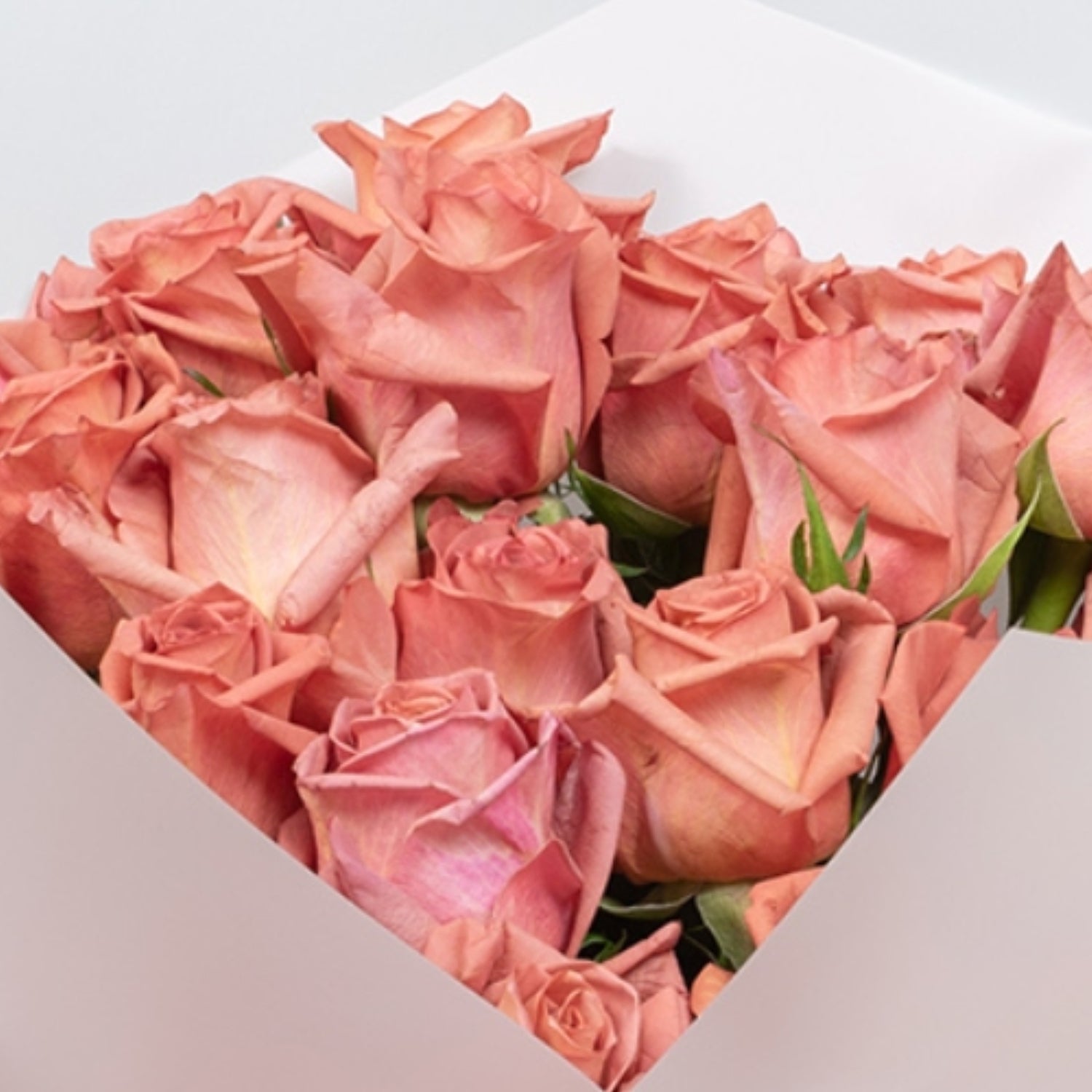 Serenade Dusty Pink Roses Bouquet Closeup