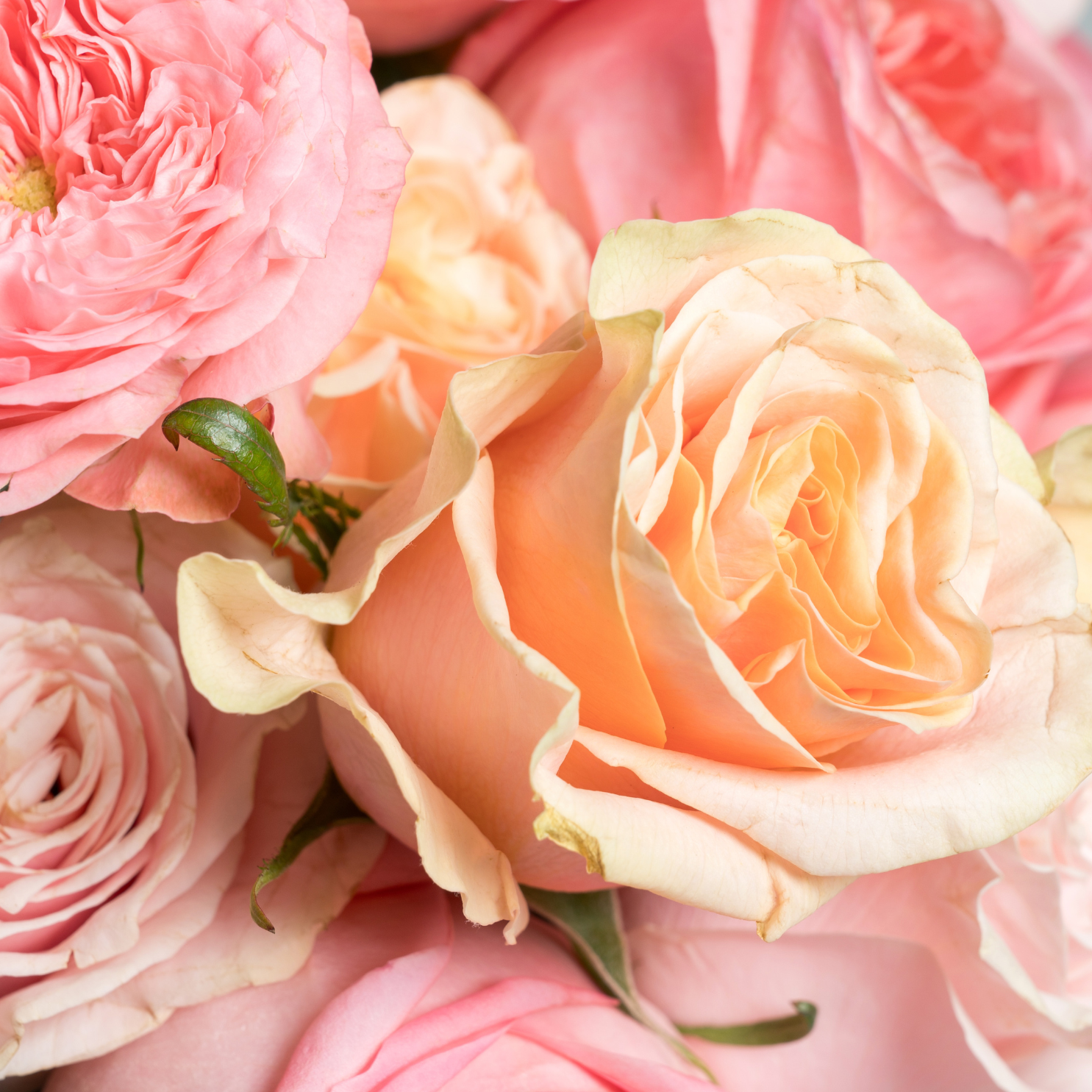 Spring is in the Air Flower Arrangement Closeup