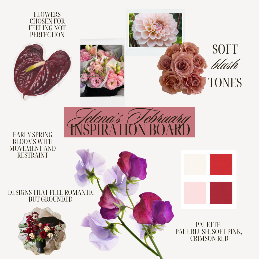 February Inspiration Board – A Gentle Awakening