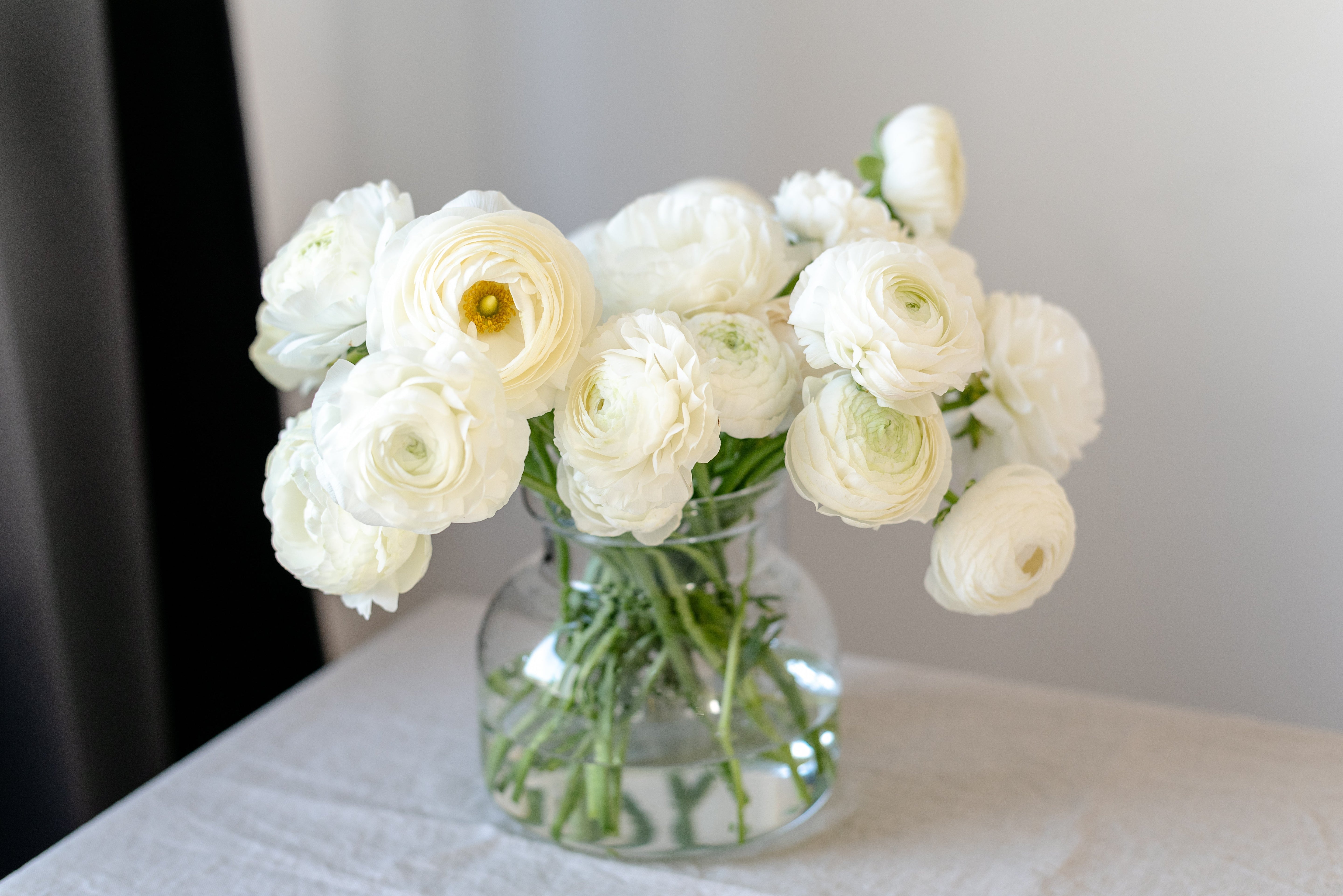 Top 10 Longest Lasting Cut Flowers for Your Home or Office