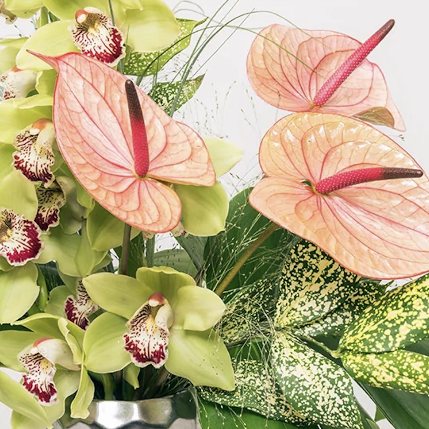Aloha Blooms Tropical Flower Arrangement Closeup