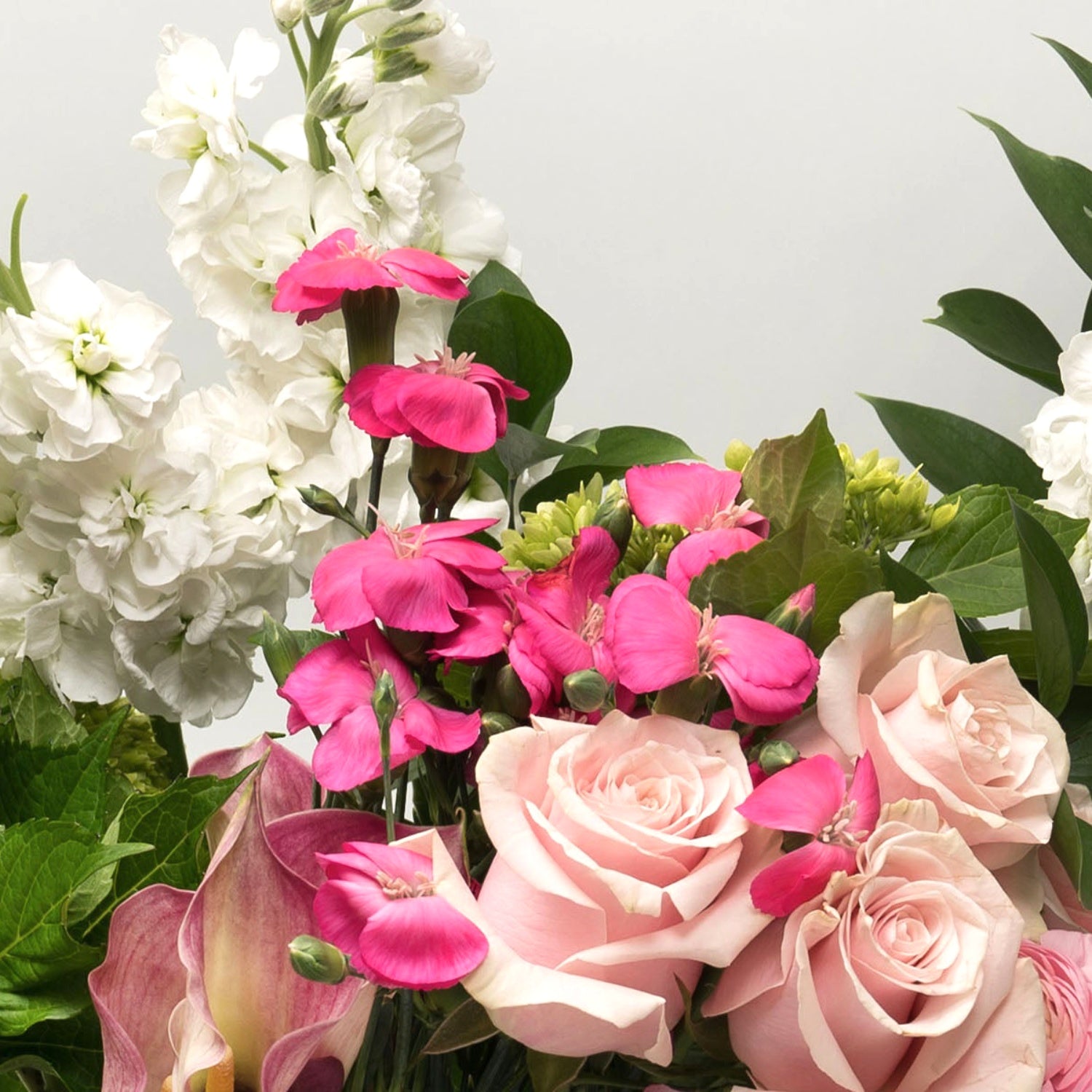 Bloom Bucket™ – Viola Floral