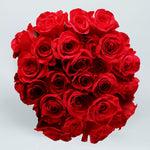 Valentine's Day