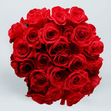 Valentine's Day