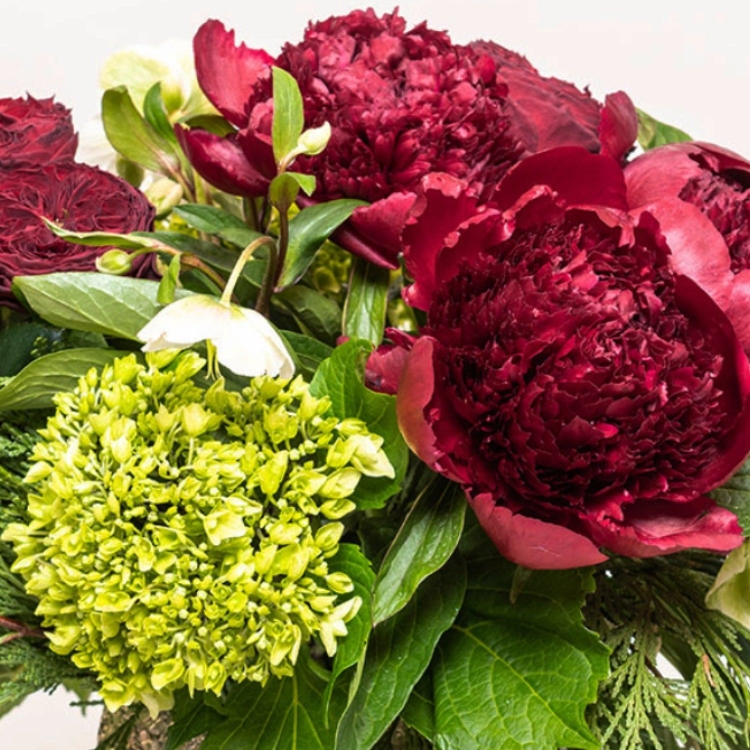 Holiday Peonies Flower Arrangement Closeup