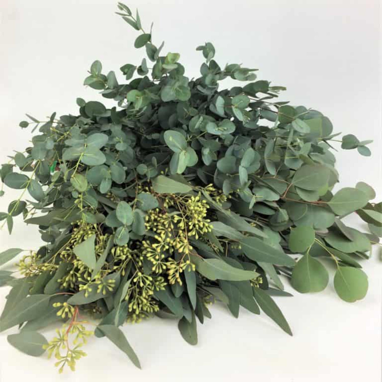 Mixed Eucalyptus Bouquet