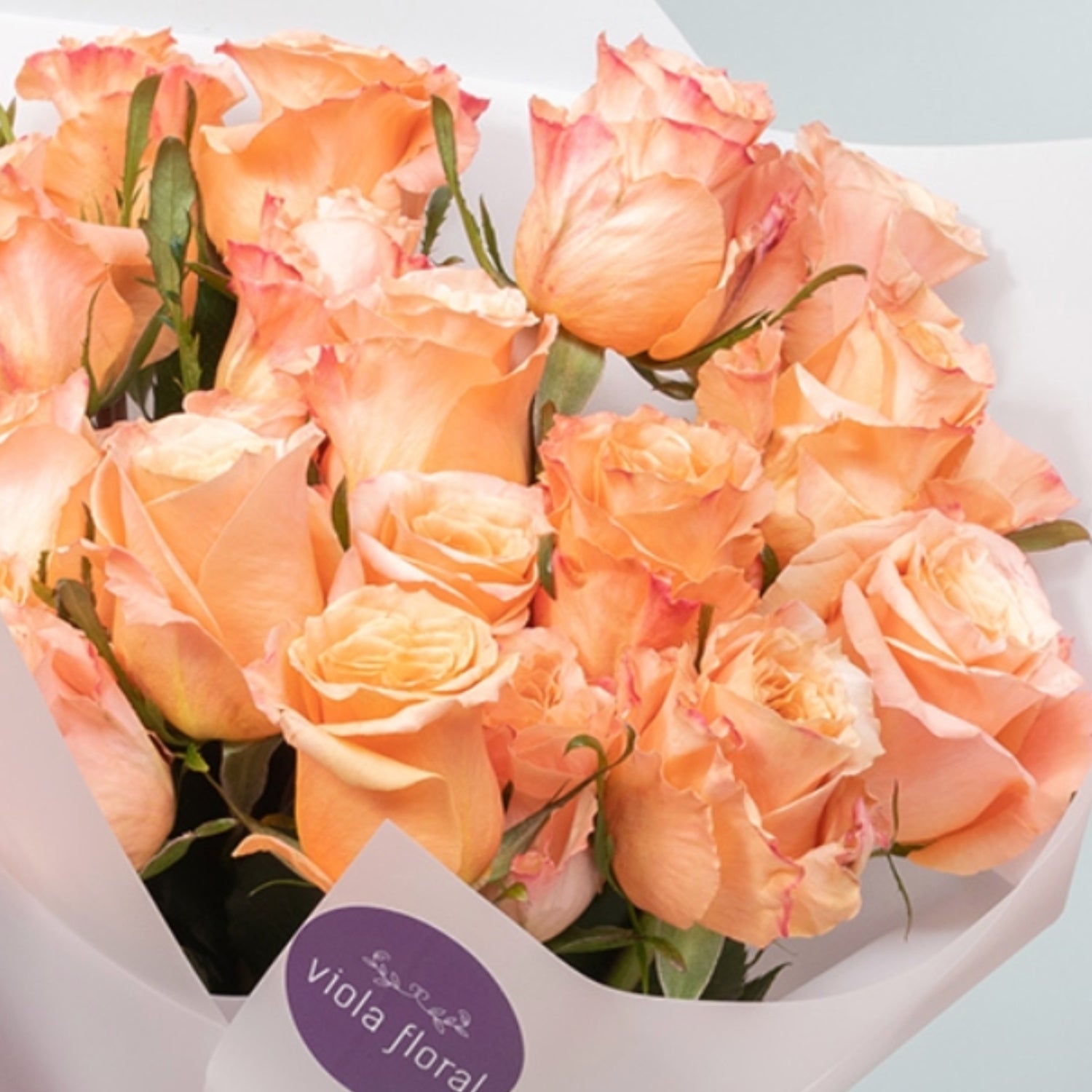 Orange & Peach Roses Posy Orange & Peach Roses Posy