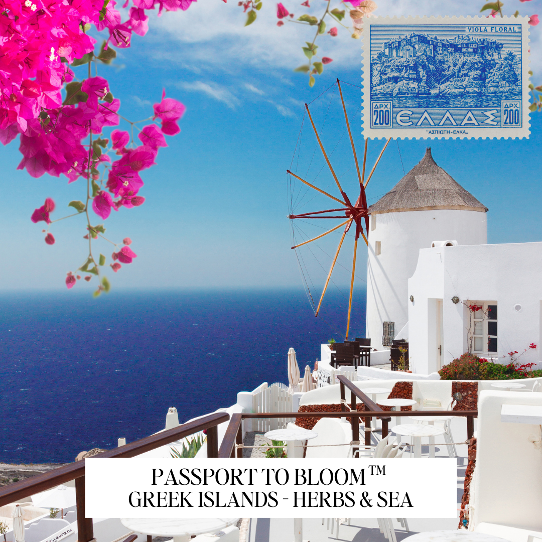 A scenic view of a white-walled Mediterranean terrace with a windmill, blue sea, and bright pink bougainvillea flowers. A blue postage stamp graphic appears in the top right, and the text 'PASSPORT TO BLOOM ™ GREEK ISLANDS - HERBS & SEA' is overlaid at the bottom.