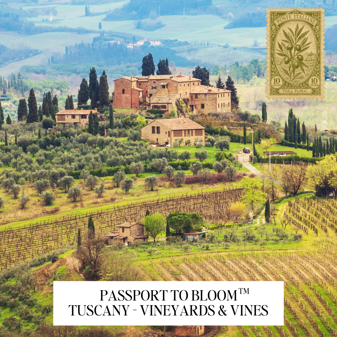 A scenic landscape of Tuscan vineyards and stone buildings in Tuscany, Italy, with a vintage-style olive stamp graphic in the top right and a white banner at the bottom reading 'PASSPORT TO BLOOM ™ TUSCANY - VINEYARDS & VINES'.