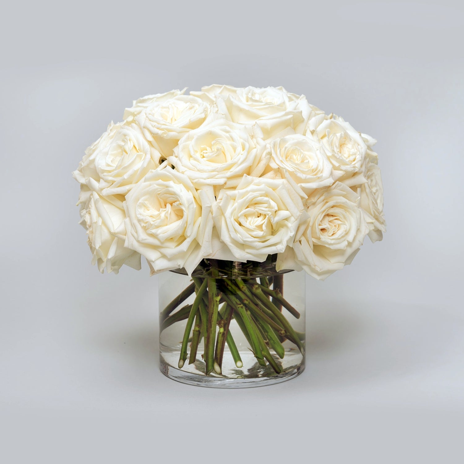 Pure White Roses Arrangement