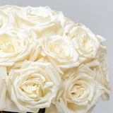 Pure White Roses Arrangement Closeup