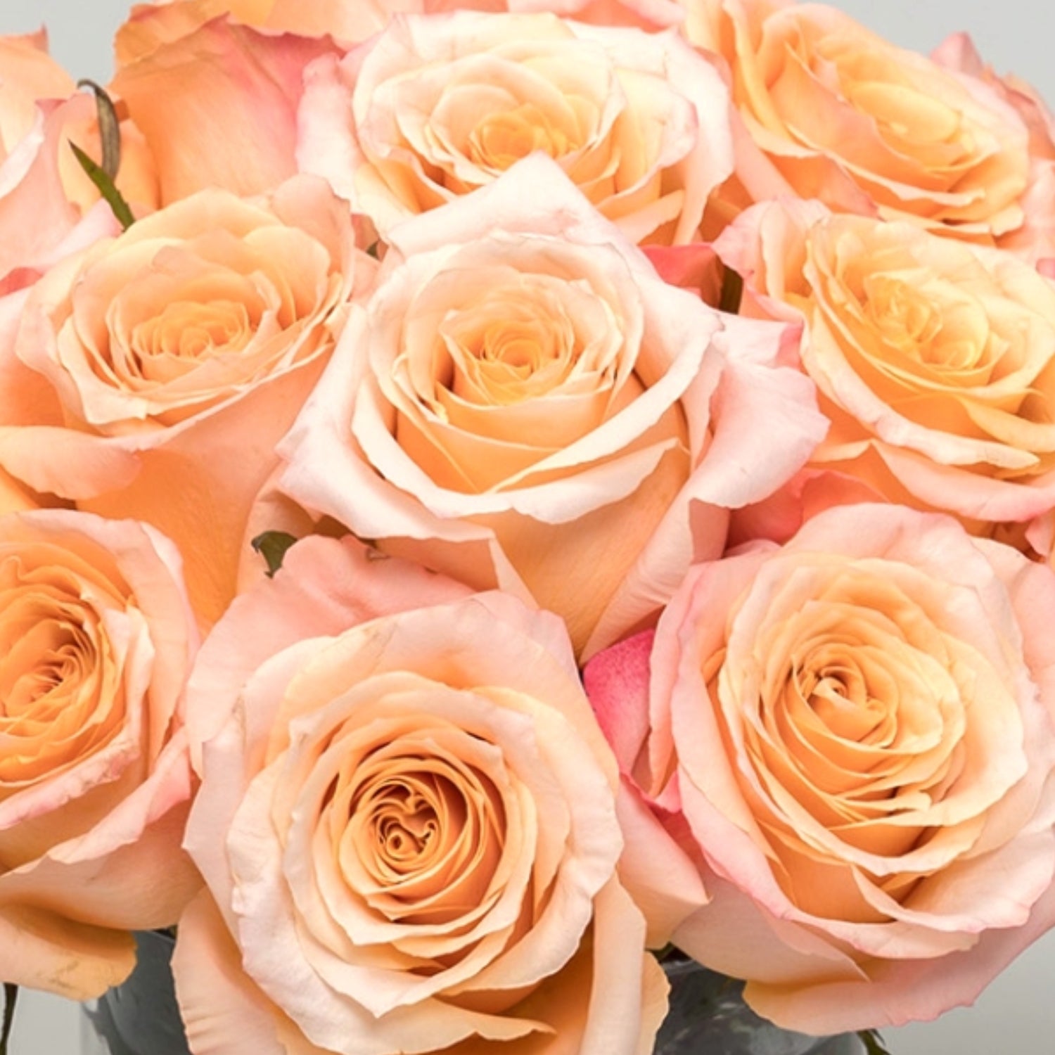 Rosey Oasis Peach Roses Arrangement Closeup