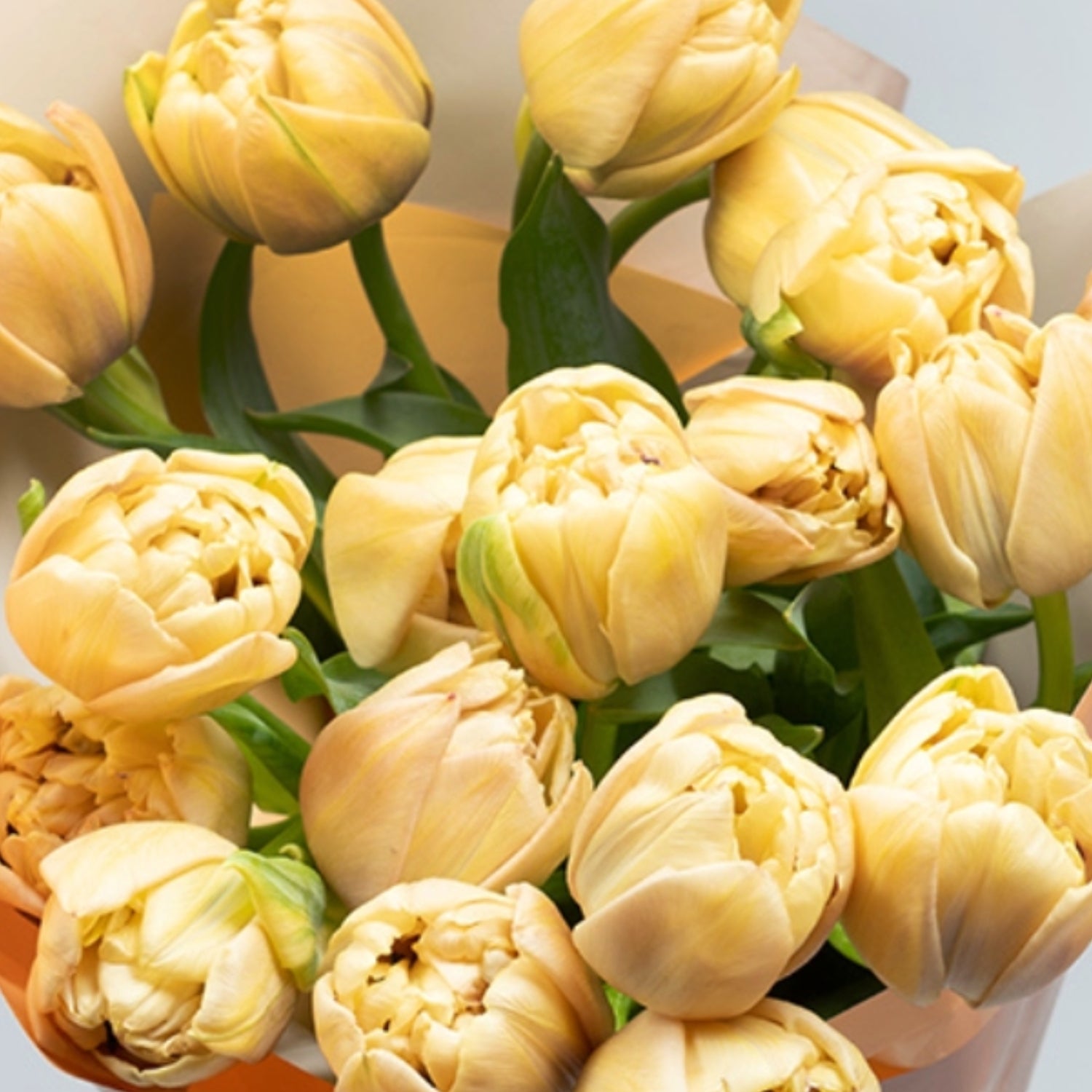 Seasonal Yellow Tulip Bouquet Closeup