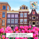 A travel-themed graphic featuring Amsterdam canal houses and a foreground of pink tulips, with a postage stamp style logo reading 'Passport to Bloom' and 'Amsterdam - Tulips & Canals.' This is not a clean product shot, not a person-centered lifestyle image, and not an auxiliary chart/diagram; it reads as a digital promotional artwork, so subject_type is Other.