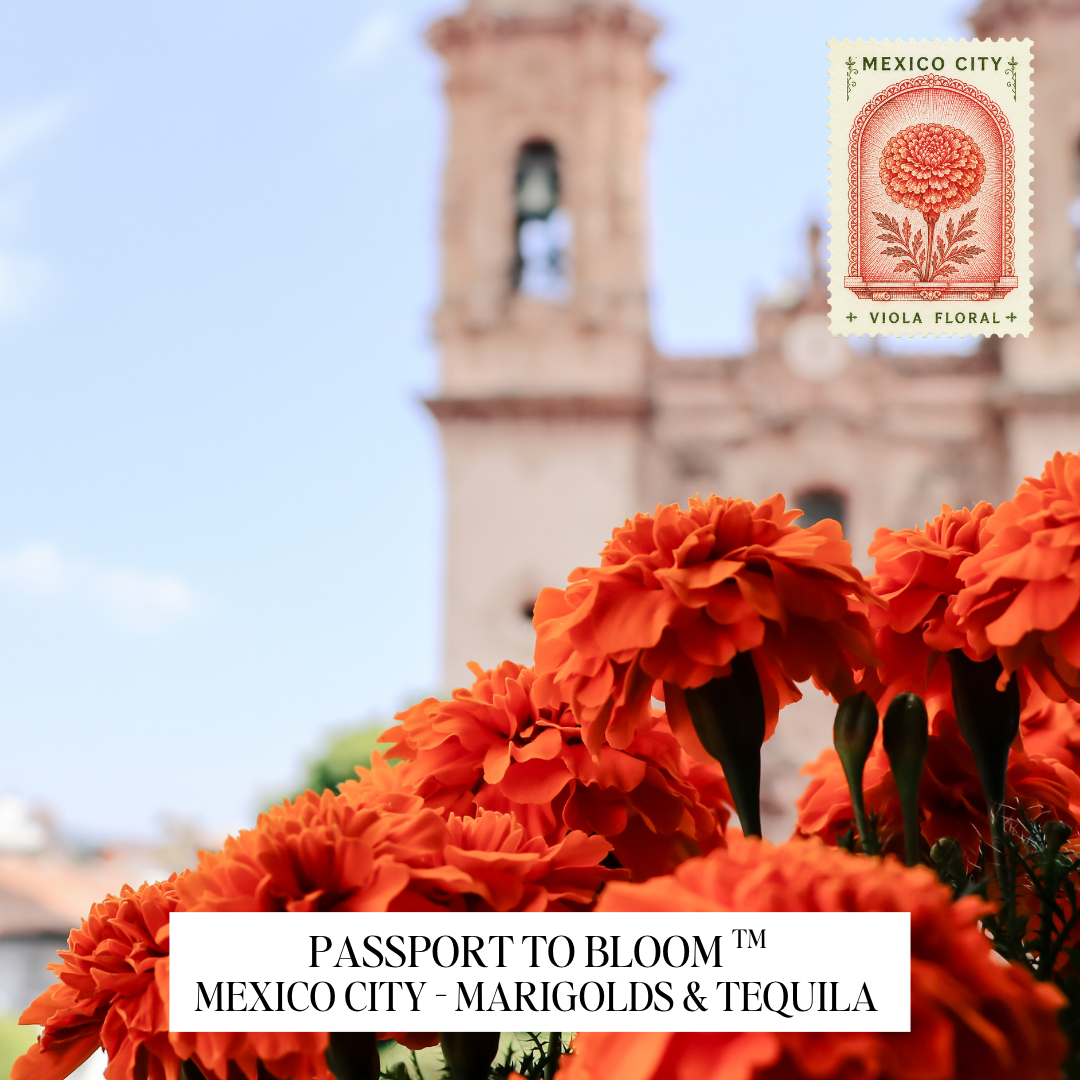 A close-up of bright orange marigold flowers in the foreground with a blurred Mexico City bell tower in the background. A postage-stamp-style graphic in the top right reads 'MEXICO CITY - VIOLA FLORAL,' and a white label at the bottom reads 'PASSPORT TO BLOOM TM MEXICO CITY - MARIGOLDS & TEQUILA.