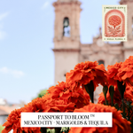 A close-up of bright orange marigold flowers in the foreground with a blurred Mexico City bell tower in the background. A postage-stamp-style graphic in the top right reads 'MEXICO CITY - VIOLA FLORAL,' and a white label at the bottom reads 'PASSPORT TO BLOOM TM MEXICO CITY - MARIGOLDS & TEQUILA.